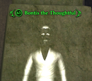 Bontis the Thoughtful