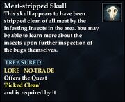 Meat-stripped Skull