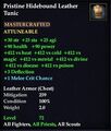 Pristine Hidebound Leather Tunic.jpg