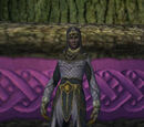 Timeless Chronomage (Kelethin)