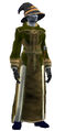 Robe of the Researcher (Visible).jpg