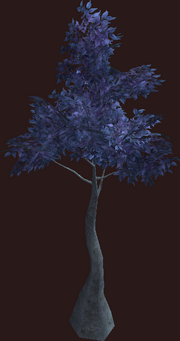 Young Lavender Darkleaf Sapling (Placed)