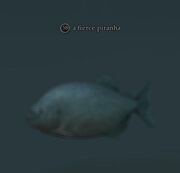A fierce piranha