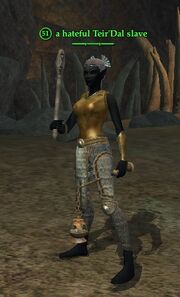 A hateful Teir'Dal slave