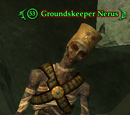Groundskeeper Nerus