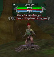 Pirate Captain Gnoggin
