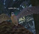 A golden flier