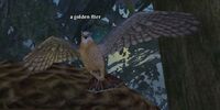 A golden flier