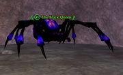 The Black Queen (Solusek's Eye)