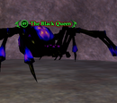 The Black Queen (Solusek's Eye)
