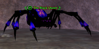 The Black Queen (Solusek's Eye)