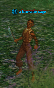 A brownie sage (solo)