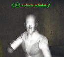 A shade scholar
