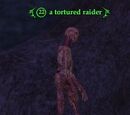 A tortured raider