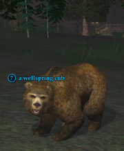 A wellspring cub