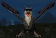 Griffawn