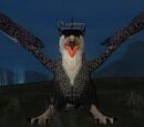 A griffawn