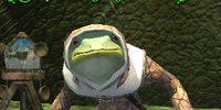 A pondering froglok wizard