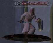 Conservator Haidar