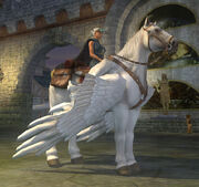 Far Seas Pack Pegasus Equipped