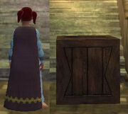 Cloak of Disguise2