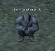 Baby gorilla