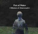 Fist of Water