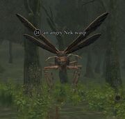 An angry Nek wasp