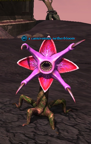 A carnivorous netherbloom