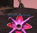 A carnivorous netherbloom