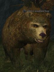 Fierce woodland bear