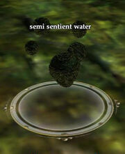 SSWpet