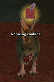 Knowing chokidai