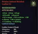 Pristine Imbued Bristled Leather Gi