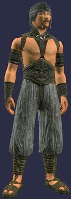 Wu's Fighting Gear (Armor Set) (Visible, Male)