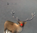 A reindeer (Cheriweth's Confectory)