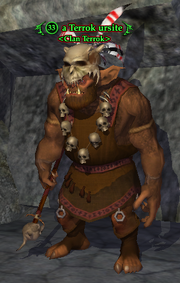 A Terrok ursite