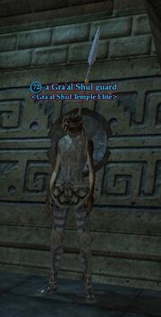 A Gra'al Shul guard