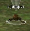 A jumper (Visible).jpg