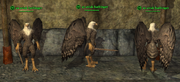 Aviak (Dirge) Placed