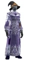 Enspelled Thaumaturgist's Robes (Visible).jpg