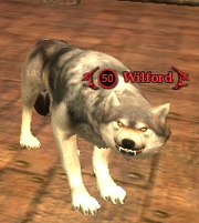 Wilford