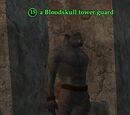 A Bloodskull tower guard
