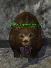 A Deepforest grizzly