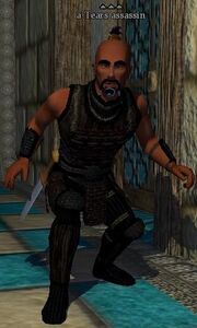 A Tears assassin (Court of Tears)
