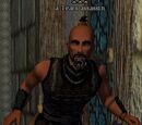 A Tears assassin (Court of Tears)