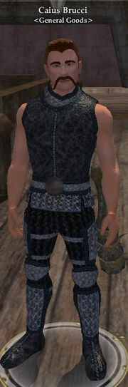 Caius Brucci
