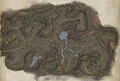 Darklight Wood map.jpg