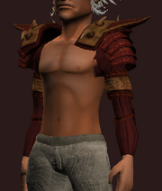 Sacrosanct Shoulder Pads of the Forest Scion (Equipped)