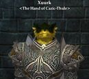 Xuurk